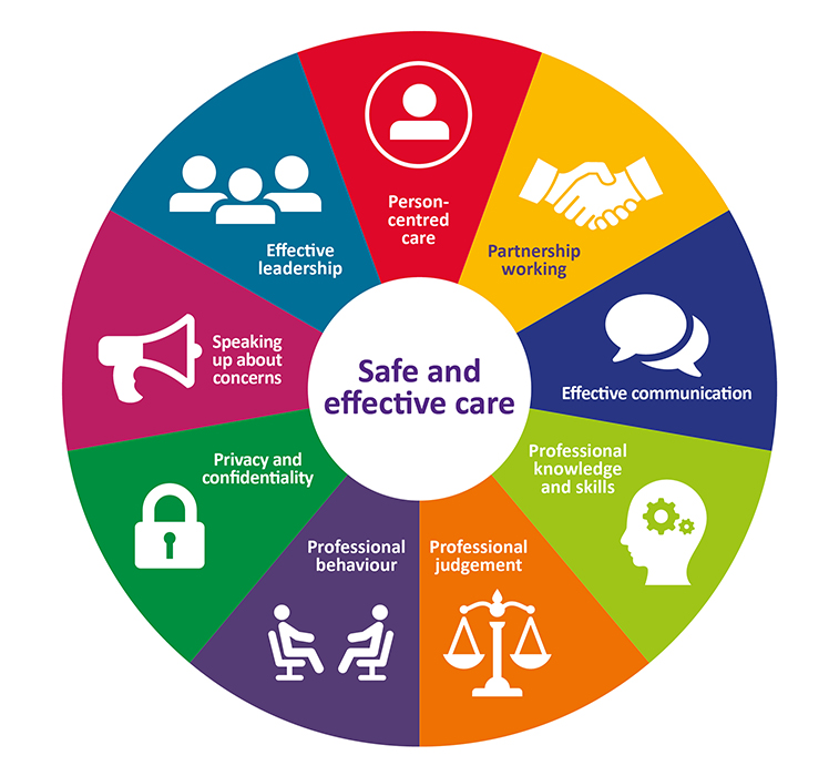 gphc standards wheel consisting of 9 characteristics