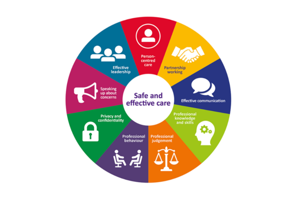 A circular graphic showing the various aspects of safe and effective care